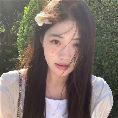 飞来的白鸽
